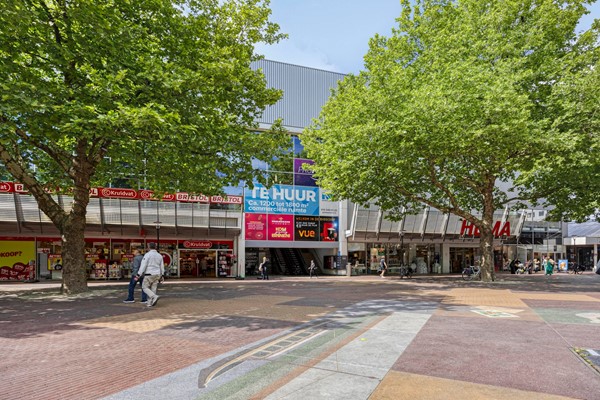 Te huur: Veerplein 134B, 3131 CN Vlaardingen